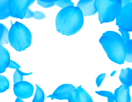 blue petals flying floating clipping path isolated on white or transparent background