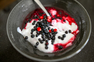 Wilde Blaubeeren und Preiselbeeren mit Joghurt und Preiselbeersoße in dunkler Schale – Natürlich genießen