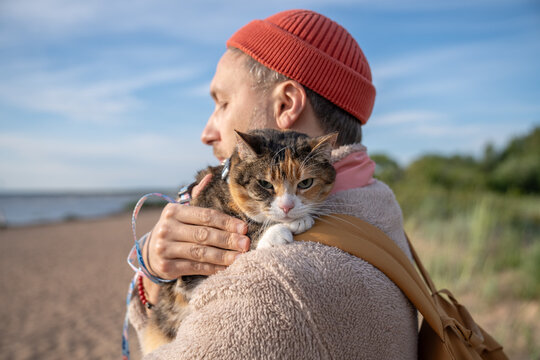 Unhappy grouchy gloomy cat snuggles close to male pet owner during nature walk. Defensive instincts seeking comfort, reluctance towards unfamiliarity, trust in caregiver, animal emotional dependence