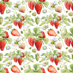Strawberry berries growing with leaves tendrils flowers hand drawn in watercolor, ripe forest garden harvest. Isolated seamless pattern. Grocery packaging scrapbooking paper, farmers market, cosmetics