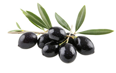 Black olives a branch isolated on white background, png