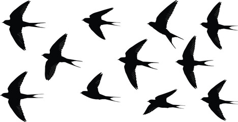 Silhouette of flying swallows flock, bird vector art, wildlife illustration, black and white clipart, nature design elements