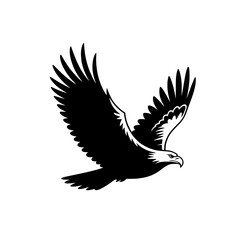 Obraz premium Soaring eagle vector illustration. Monochrome bird in flight, spread wings, detailed feathers, powerful beak. Black and white graphic design element for logos, emblems, and wildlife themes. Isolated 