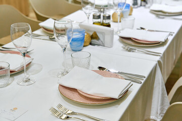 Elegant Dining Setup with Tableware, Glassware, and Stylish Napkins for a Delightful Culinary Experience in an Inviting Atmosphere