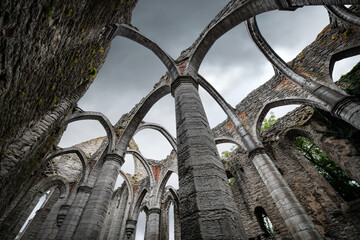 Old ruin Visby, Gotland, Sweden