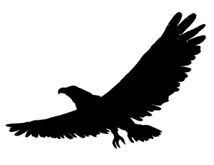Eagle in black and white silhouette soaring gracefully against a clean white sky, wings outstretched in mid-flight. The powerful bird exudes freedom and strength with sharp, defined outlines.