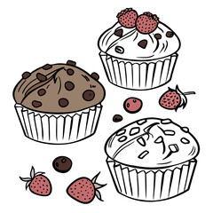 Three delicious hand drawn muffins one chocolate chip one strawberry and one plain with scattered berries and chocolate chips