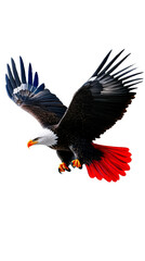Obraz premium Eagle soaring with vibrant feathers against a transparent background