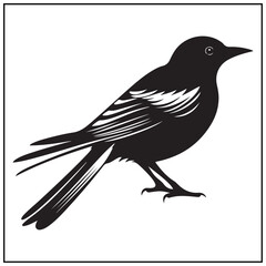 Obraz premium Vector art of black and white silhouette of a magpie bird isolated on white background