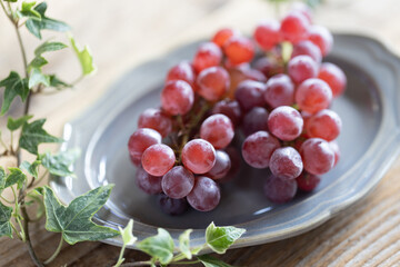 小さな葡萄（デラウェア）