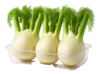 Coconut cream in a tin can with a pull-tab lid, label featuring a coconut tree graphic