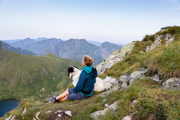 Fototapeta premium trekking with a dog in hogh mountains