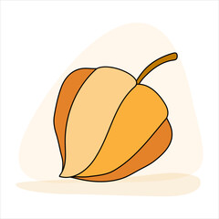Clip art of Autumn physalis on isolated background. Hand drawn background for Autumn harvest holiday, Thanksgiving, Halloween, seasonal, textile, scrap booking.
