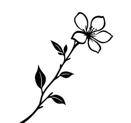 Black and white vector illustration of a single cherry blossom branch with flower and leaves. Monochrome floral graphic, minimalist line art design element on a white background. Spring, nature, botan