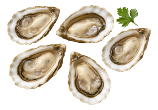 Duck egg displayed on a wooden board with a light-blue shell.