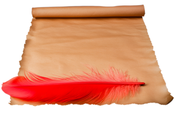Elegant red feather on a rolled parchment paper