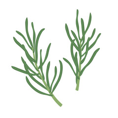 rosemary sprigs icon; ideal for culinary graphics, organic product labels, botanical art, and kitchen-themed projects- vector illustration
