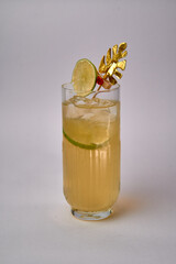 Refreshing cocktail garnished with a lime slice and decorative leaf, showcasing chilled ice in a tall glass against a minimalist backdrop for vibrant drink presentations.
