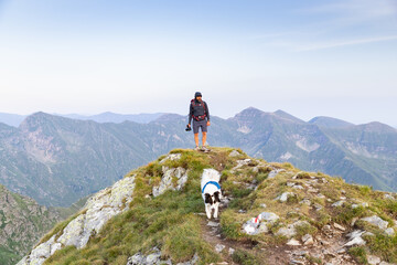 Fototapeta premium trekking with a dog in hogh mountains