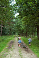 Obraz premium forêt domaniale de Sénart, 91, Essonne, France