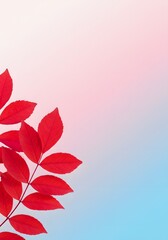 Red autumn leaves on gradient background