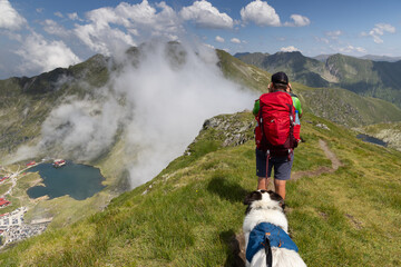 Obraz premium trekking with a dog in hogh mountains