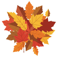 Obraz premium A vibrant collection of autumn leaves showcasing various colors and shapes