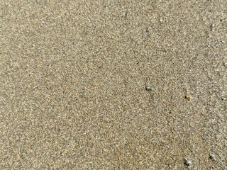 smooth wet beach sand texture with tiny pebbles under sunlight for background or digital design use

