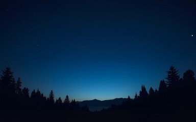 Night sky background. High quality