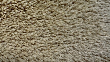 close up of dense beige animal fur texture with natural spotted pattern for wildlife textile design or realistic 3d rendering

