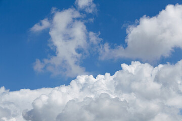 Obraz premium Expansive blue sky filled with fluffy white clouds, creating a serene atmosphere, perfect for backgrounds or nature-themed projects, showcasing the beauty of the natural world