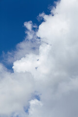 Bright blue sky with fluffy white clouds creating a serene atmosphere, showcasing the beauty of nature and the tranquility of a clear day, ideal for relaxation and inspiration