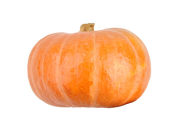 Vibrant orange pumpkin with smooth skin and distinct ridges, showcasing its natural beauty and texture, perfect for autumn decorations and seasonal celebrations