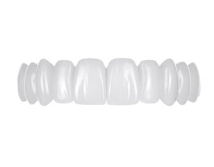3D model of upper teeth