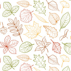 Seamless pattern with autumn leaves in line style on white background. Elegant seasonal repeat design for fabric, packaging or wallpaper.