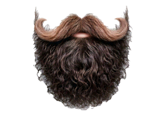Curly stylish beard with mustache isolated on a transparent or white background