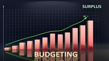 Budgeting leads to Surplus - high and increasing values of budgeting bring surplus. Budgeting growing in time creates surplus in the future. 3d bar graph