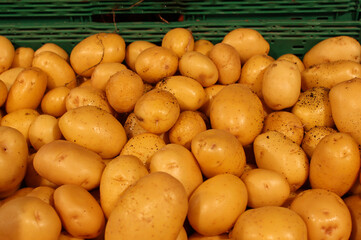 A scattering of raw new potatoes with a delicate yellow thin skin in a plastic container close up angle view

