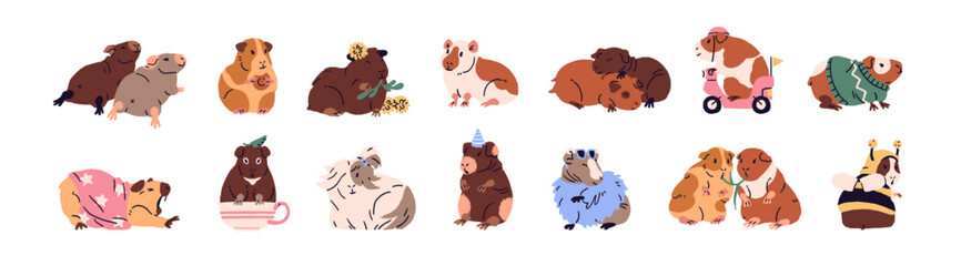 Set of cute guinea pigs. Different happy cavies hug, eat vegetables, relax and sleep. Adorable rodents have a rest, stretch. Funny little pets, animals. Flat isolated vector illustrations on white