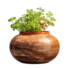 flower pot png