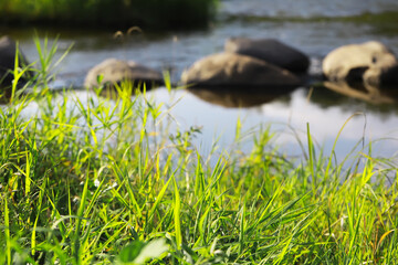 Serene Riverbank with Green Grass and Rocks at Sunset