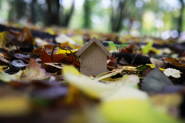Tiny Wooden House Amidst Colorful Autumn Leaves in a Forest Setting