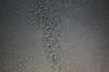 Close-Up of Soap Bubbles with Green Dots on a Surface - Abstract Texture and Background