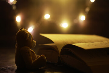 Cozy Evening Teddy Bear Reading Book with String Lights in Background