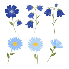 set of blue flowers on white