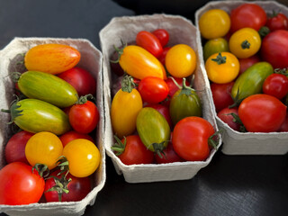 Freshly picked organic yellow, red and pink Tomatoes in paper boxes close up