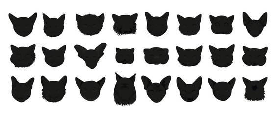 Heads of Cats of Different Breeds