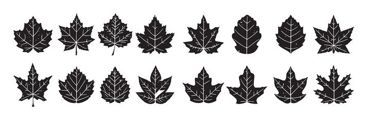 Leaf silhouette Minimalist Illustrations