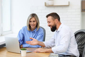 Fototapeta premium Smiling business partners working with laptop at table in office