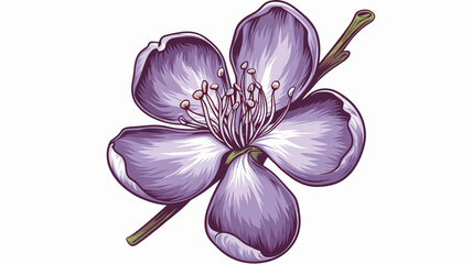 Deep purple plum blossom with white center and green stem